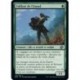 (FOIL) Vert - Vaillant de Citanul (C) [BRO]
