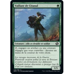 (FOIL) Vert - Vaillant de Citanul (C) [BRO]