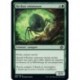 (FOIL) Vert - Recluse entasseuse (C) [BRO]