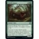(FOIL) Vert - Baloth tenace (U) [BRO]