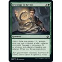 (FOIL) Vert - Bricolage de Tavnos (C) [BRO]