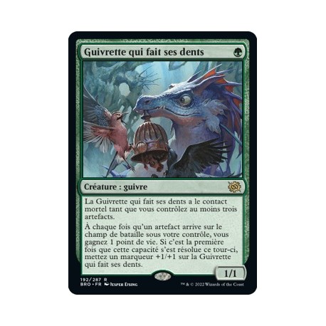 (FOIL) Vert - Guivrette qui fait ses dents (R) [BRO]