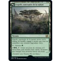 (FOIL) Terrain - Argoth, sanctuaire de la nature (R) [BRO]