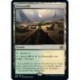 (FOIL) Terrain - Broussaille (R) [BRO]