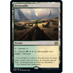 (FOIL) Terrain - Broussaille (R) [BRO]