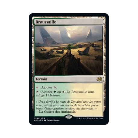 (FOIL) Terrain - Broussaille (R) [BRO]