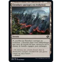 (FOIL) Terrain - Étendues sauvages en évolution (C) [BRO]