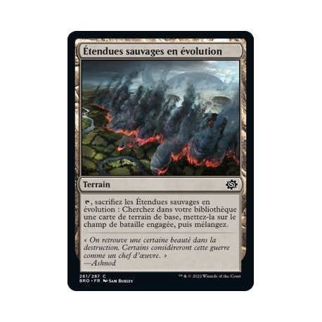 (FOIL) Terrain - Étendues sauvages en évolution (C) [BRO]