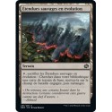 (FOIL) Terrain - Étendues sauvages en évolution (C) [BRO]