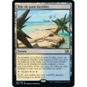 (FOIL) Terrain - Tête de pont fortifiée (R) [BRO]