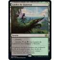 (FOIL) Terrain - Landes de Llanowar (R) [BRO]
