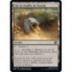 (FOIL) Terrain - Site de fouilles de Tocasia (C) [BRO]