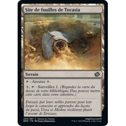 (FOIL) Terrain - Site de fouilles de Tocasia (C) [BRO]