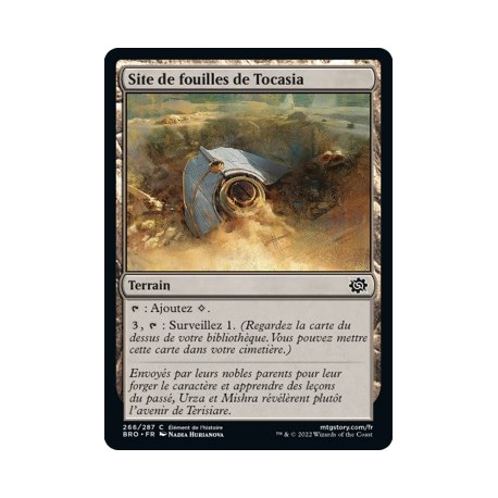 (FOIL) Terrain - Site de fouilles de Tocasia (C) [BRO]