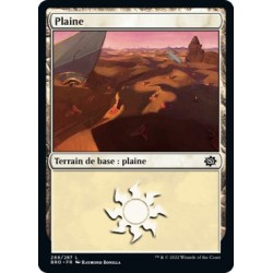 (FOIL) Terrain - Plaine (V3) (L) [BRO]