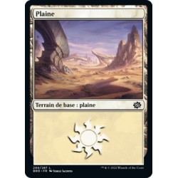 (FOIL) Terrain - Plaine (V4) (L) [BRO]