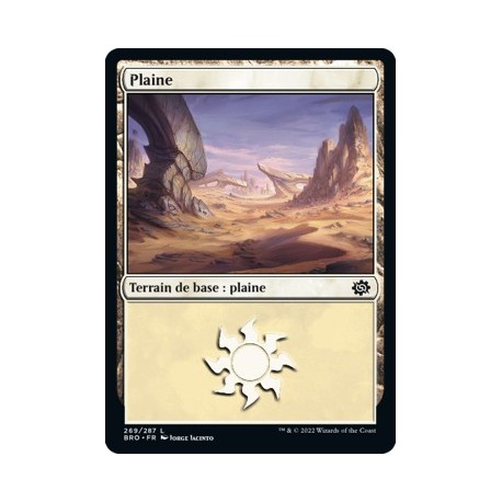(FOIL) Terrain - Plaine (V4) (L) [BRO]