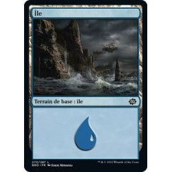 (FOIL) Terrain - Île (V3) (L) [BRO]