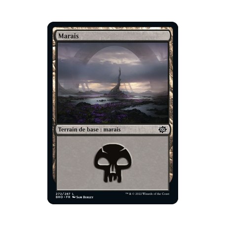 (FOIL) Terrain - Marais (V3) (L) [BRO]