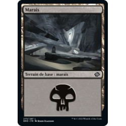 (FOIL) Terrain - Marais (V4) (L) [BRO]