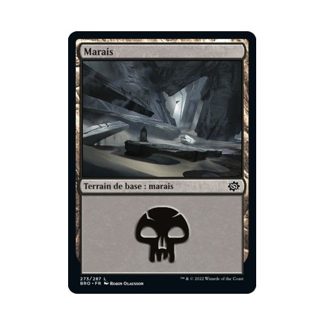 (FOIL) Terrain - Marais (V4) (L) [BRO]