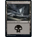 (FOIL) Terrain - Marais (V4) (L) [BRO]