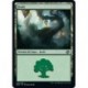 (FOIL) Terrain - Forêt (V3) (L) [BRO]