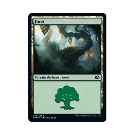 (FOIL) Terrain - Forêt (V3) (L) [BRO]