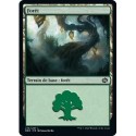 (FOIL) Terrain - Forêt (V3) (L) [BRO]