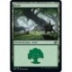 (FOIL) Terrain - Forêt (V4) (L) [BRO]