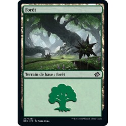 (FOIL) Terrain - Forêt (V4) (L) [BRO]