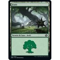 (FOIL) Terrain - Forêt (V4) (L) [BRO]
