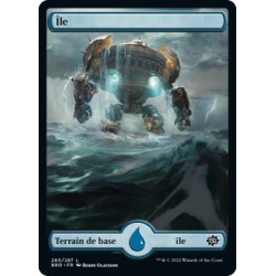 (FOIL) Terrain - Île (V1) (L) [BRO]
