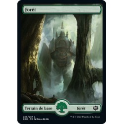 (FOIL) Terrain - Forêt (V1) (L) [BRO]
