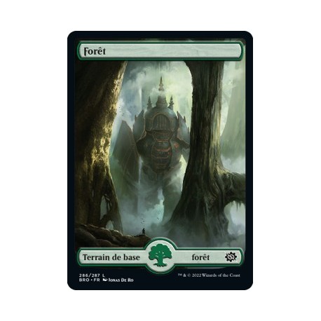 (FOIL) Terrain - Forêt (V1) (L) [BRO]