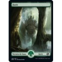 (FOIL) Terrain - Forêt (V1) (L) [BRO]