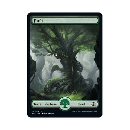 (FOIL) Terrain - Forêt (V2) (L) [BRO]