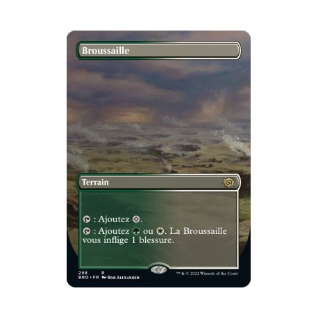 (FOIL) (ALT) Terrain - Broussaille (R) [BRO]