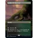 (FOIL) (ALT) Terrain - Landes de Llanowar (R) [BRO]