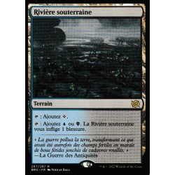 (FOIL) Terrain - Rivière souterraine (R) [BRO]