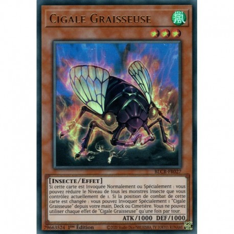 Cigale Graisseuse (UR) [BLCR]