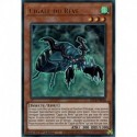 Cigale du Rêve (UR) [BLCR]