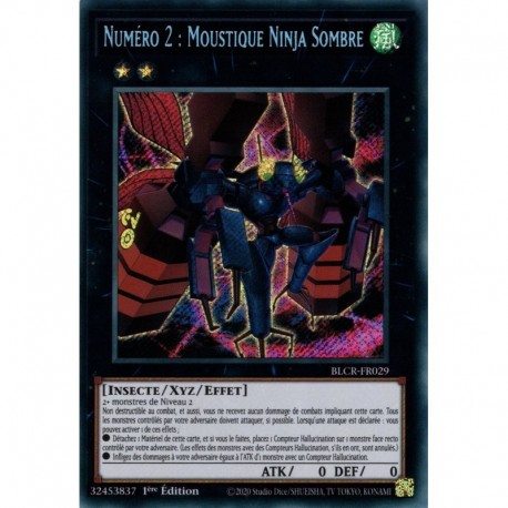 Numéro 2 : Moustique Ninja Sombre (STR) [BLCR]