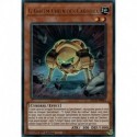 G Golem Chien des Cailloux (UR) [BLCR]