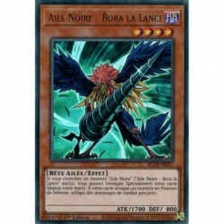 Aile Noire - Bora la Lance (UR) [BLCR]
