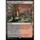 (FOIL) Terrain - Falaises de Coupenoire (V1) (R) [ONE]