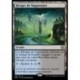 (FOIL) Terrain - Rivages de Nappenoire (V1) (R) [ONE]