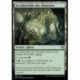 (FOIL) Terrain - Le Labyrinthe des chasseurs (C) [ONE]