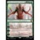 (FOIL) Verte - Nissa, animiste ascendue (PHY) (M) [ONE]