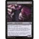 (Foil) Black - Xenosquirrels (C) [UNF]
